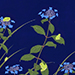 Kotaro Isobe Gallery